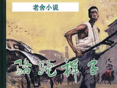 两人上下打扑克视频